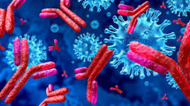 Several Districts Report Presence of Nipah Virus, Authorities Urge Heightened Vigilance