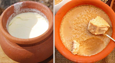 ভারি খাবারের পর কোন দই খাওয়া সবচেয়ে উপকারী