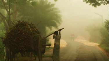 পঞ্চগড়ে তাপমাত্রা ৬.৯ ডিগ্রি