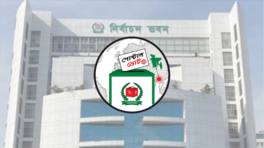 Expatriates Can Cast Postal Votes from Wednesday Evening