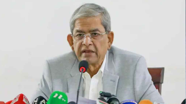 জাতি এখন তারেক রহমানের দিকে তাকিয়ে আছে: মির্জা ফখরুল