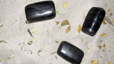 ঢাবির জহুরুল হক হলে রাতের মধ্যরাতে ককটেল সদৃশ বস্তু উদ্ধার