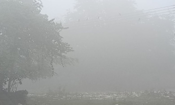 বাহে জার সয়া যায় না, গাও খালি কাঁপছে