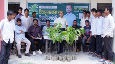 Free Saplings Distributed Under ‘Clean Tongibari, Green Tongibari’ Initiative Free Saplings Distributed Under ‘Clean Tongibari, Green Tongibari’ Initiative