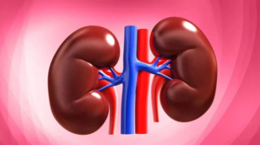 Annual Financial Aid Raised to Tk 100,000 for Cancer, Kidney and Other Critical Patients