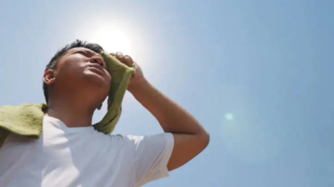 5 Foods That Can Help Prevent Heatstroke During Extreme Heat 5 Foods That Can Help Prevent Heatstroke During Extreme Heat