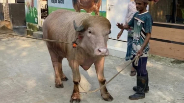 গবেষণার জন্য চিড়িয়াখানা ছেড়ে সাভারে ‘ডোনাল্ড ট্রাম্প’