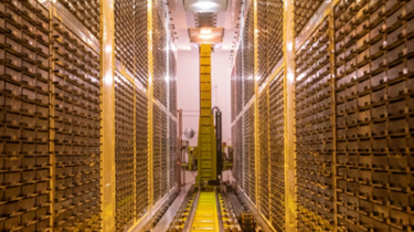 Confidential Health Records from UK Biobank Project Exposed Onlin