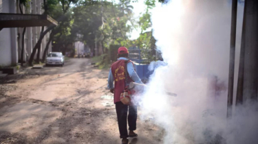 50% Control of Dengue Possible Through Public Awareness: DNCC Administrator