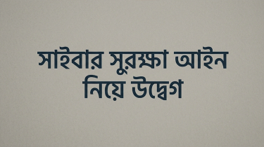 সাইবার সুরক্ষা আইন নিয়ে উদ্বেগ, সাংবাদিকদের বিচার ও গণমাধ্যম বন্ধের বিধান বাতিলের দাবি সাইবার সুরক্ষা আইন নিয়ে উদ্বেগ, সাংবাদিকদের বিচার ও গণমাধ্যম বন্ধের বিধান বাতিলের দাবি