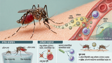 ডেঙ্গুতে আরও ৭ জনের মৃত্যু, ২৪ ঘণ্টায় হাসপাতালে ভর্তি ২ হাজার ২৪৯ ডেঙ্গুতে আরও ৭ জনের মৃত্যু, ২৪ ঘণ্টায় হাসপাতালে ভর্তি ২ হাজার ২৪৯