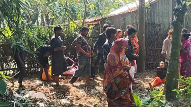 ঝিনাইদহের কালীগঞ্জে আধিপত্য বিস্তার নিয়ে সংঘর্ষ, আহত ৩০