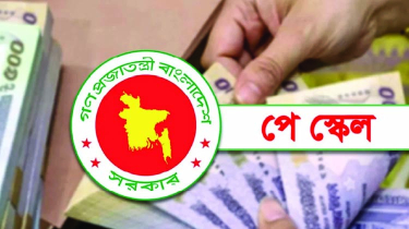 জাতীয় বেতন স্কেল ২০২৬: তথ্য চেয়েছে মাউশি