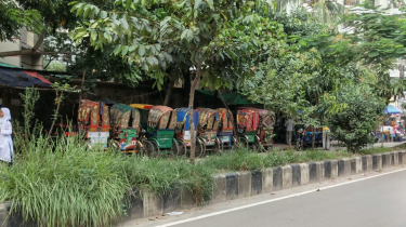 মিরপুর-১৩-তে ফুটপাত দখলের অভিযোগ, ভোগান্তিতে পথচারীরা মিরপুর-১৩-তে ফুটপাত দখলের অভিযোগ, ভোগান্তিতে পথচারীরা