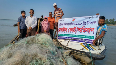 দৌলতপুরে ১৫ লাখ টাকার কারেন্ট জাল জব্দ, ইলিশ বিতরণ এতিমখানায় দৌলতপুরে ১৫ লাখ টাকার কারেন্ট জাল জব্দ, ইলিশ বিতরণ এতিমখানায়