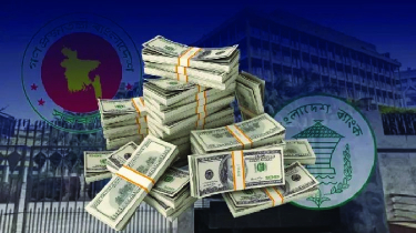 Bangladesh Remittance Hits $206 Million in First 3 Days of October Bangladesh Remittance Hits $206 Million in First 3 Days of October