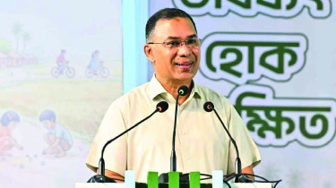 শিশুদের বিকাশের সুযোগ দিলে শক্ত হবে দেশের ভিত: প্রধানমন্ত্রী শিশুদের বিকাশের সুযোগ দিলে শক্ত হবে দেশের ভিত: প্রধানমন্ত্রী