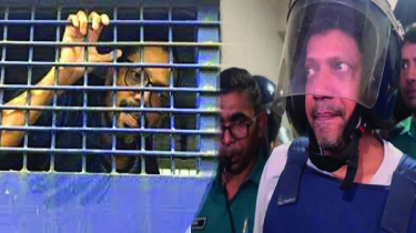 পলককে জামিন না দেওয়াকে মানবাধিকার লঙ্ঘন বলছেন আইনজীবী পলককে জামিন না দেওয়াকে মানবাধিকার লঙ্ঘন বলছেন আইনজীবী